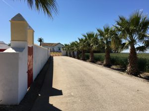 Acceso principal finca Dehesa Bolaños