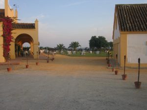 Acceso desde aparcamiento Dehesa Bolaños
