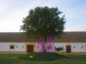 Árbol con lazos morados en Dehesa Bolaños