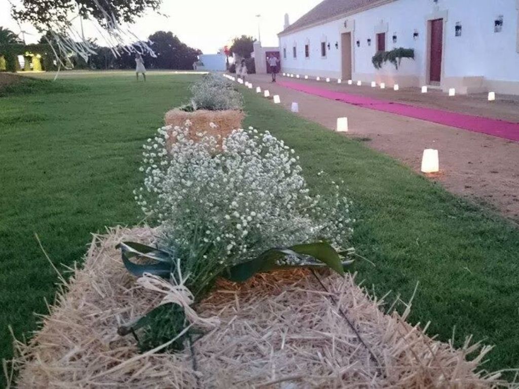 Camino de alpacas con paniculata, velas y alfombra en Dehesa Bolaños