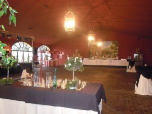Salón baile Dehesa Bolaños