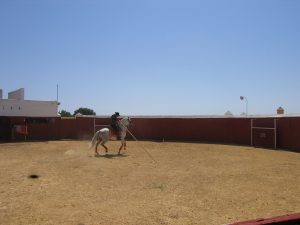 Espectáculo ecuestre en la plaza de toros de Dehesa Bolaños