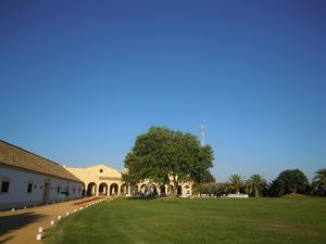 Jardines amplios de Dehesa Bolaños