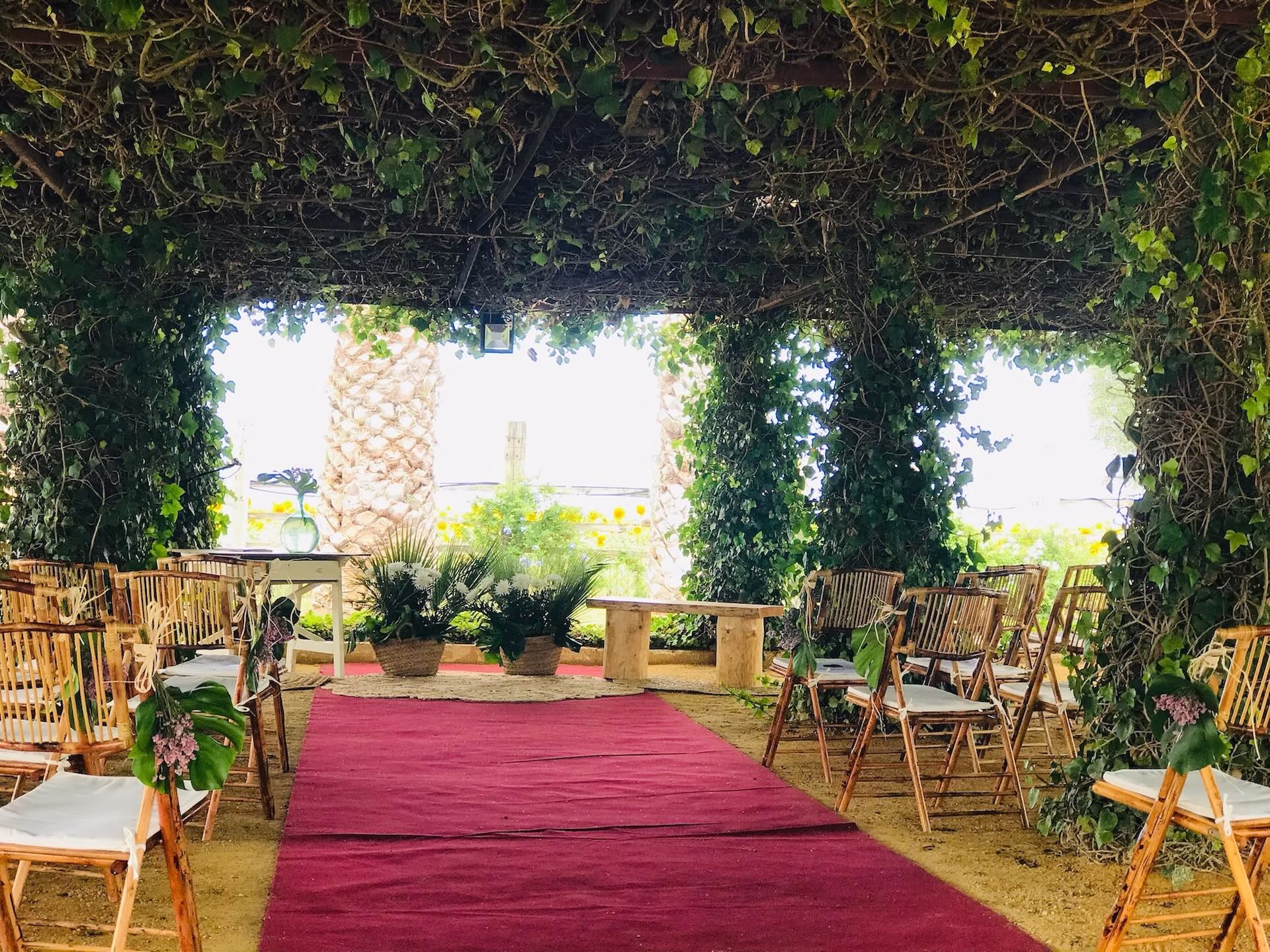 Ceremonia civil pérgola Dehesa Bolaños Ceremonia civil pérgola Dehesa Bolaños