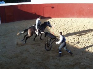 Espectáculo ecuestre en plaza de toros de Dehesa Bolaños