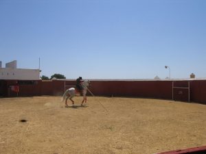 Espectáculo ecuestre en plaza de toros de Dehesa Bolaños