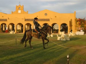 Espectáculo ecuestre en jardín Dehesa Bolaños