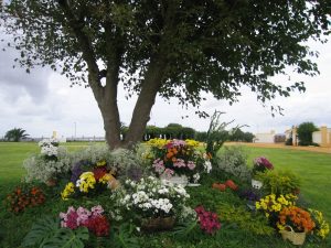 Árbol con flores en jardín Dehesa Bolaños