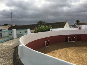Grada plaza de toros Dehesa Bolaños