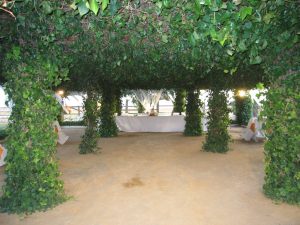 Barra libre en el interior de la Pérgola Dehesa Bolaños