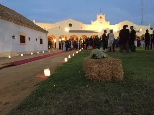 Velas y alpacas con paniculata - Boda Amelia & Lorenzo en Dehesa Bolaños