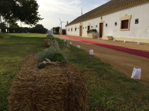 Entrada recepción novios - Boda Amelia & Lorenzo en Dehesa Bolaños
