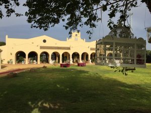Jaulas y velas colgando árbol - Boda Amelia & Lorenzo en Dehesa Bolaños