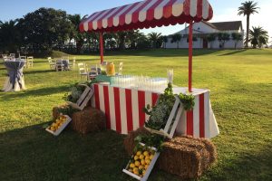 Puesto limonada - Boda Carolina & Jesús en Dehesa Bolaños