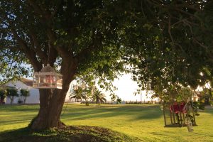 Árbol con jaulas y velas - Boda Carolina & Jesús en Dehesa Bolaños
