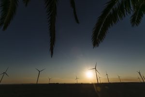 Puesta de sol con bahía de Cádiz de fondo - Boda Isabel & Alberto en Dehesa Bolaños