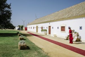 Camino recepción novios - Boda Isabel & Alberto en Dehesa Bolaños