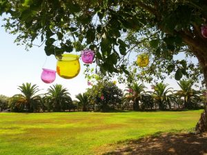 Tarros de colores árbol - Boda Rocío & Leo en Dehesa Bolaños