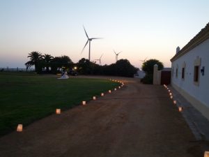 Recepción novios - Boda Rocío & Leo en Dehesa Bolaños
