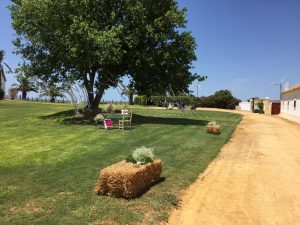Alpacas con centros de paniculata - Boda Tamara & Borja en Dehesa Bolaños