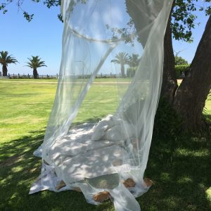 Mosquitera bajo el árbol - Comunión Virginia en Dehesa Bolaños