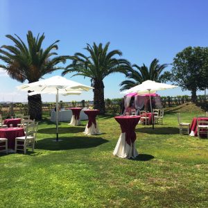 Aperitivo en jardín - Comunión Virginia en Dehesa Bolaños