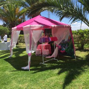 Carpa princesas - Comunión Virginia en Dehesa Bolaños