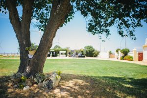 Árbol con centros de flores - Boda Bea & Ignacio en Dehesa Bolaños