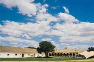 Jardín - Boda Bea & Ignacio en Dehesa Bolaños