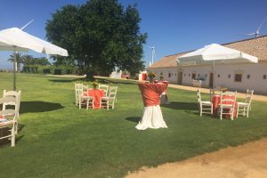 Aperitivo en el jardín - Comunión Clara en Dehesa Bolaños