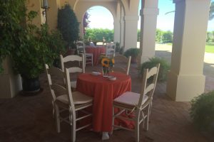 Aperitivo en el porche - Comunión Clara en Dehesa Bolaños