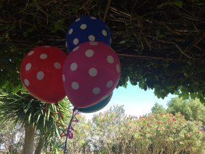 Globos de topos - Comunión Mencía en Dehesa Bolaños