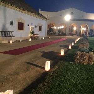 Velas en papel y alpacas - Boda Ana & Jose en Dehesa Bolaños