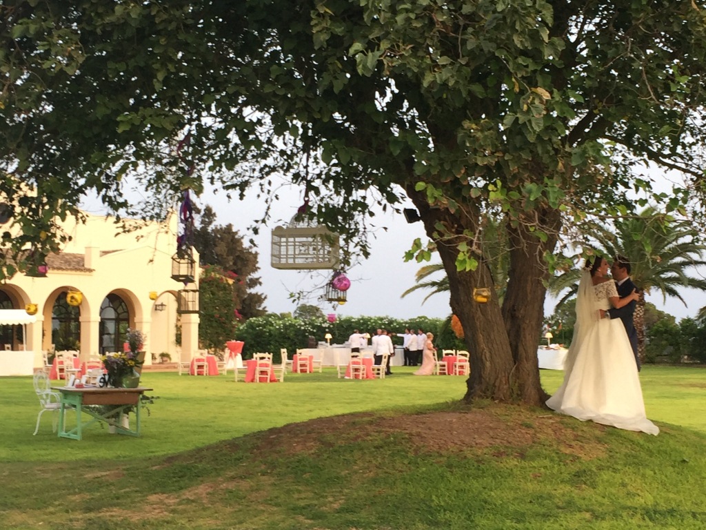 Novios en el árbol - Boda Ana & Jose en Dehesa Bolaños