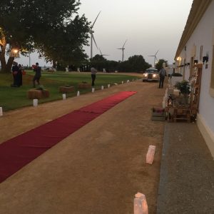 Recepción novios - Boda Ana & Jose en Dehesa Bolaños