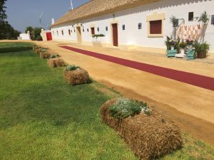 Camino de alpacas - Boda Lorena & Jesús en Dehesa Bolaños