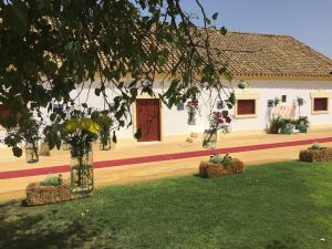 Camino de alpacas - Boda Lorena & Jesús en Dehesa Bolaños