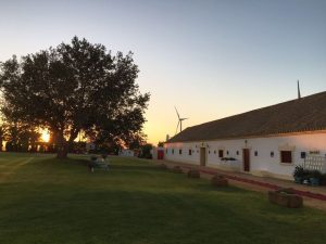 Jardín - Boda María & Luis en Dehesa Bolaños