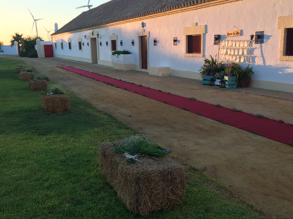 Camino de alpacas y alfombra - Boda María & Luis en Dehesa Bolaños