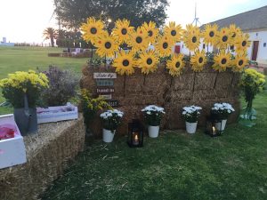 Seating plan con girasoles y alpacas - Boda Ana & Pablo en Dehesa Bolaños