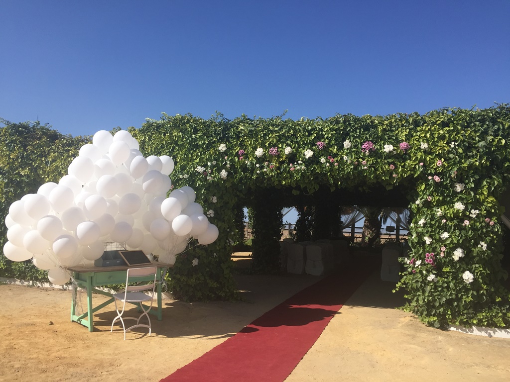 Entrada con globos ceremonia civil - Boda Mamen & Carlos en Dehesa Bolaños