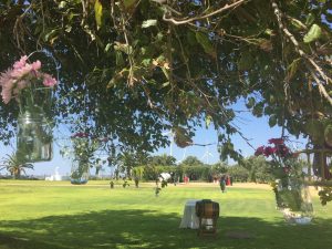 Venenciador bajo el árbol - Boda Mamen & Carlos en Dehesa Bolaños