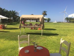 Puesto de quesos aperitivo - Boda Mamen & Carlos en Dehesa Bolaños
