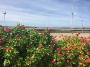 Vistas bahía de Cádiz - Boda Azahara & J. Enrique en Dehesa Bolaños
