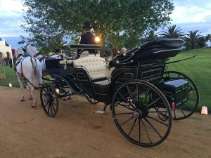 Coche de caballos para novios - Boda Silvia & Esteban en Dehesa Bolaños
